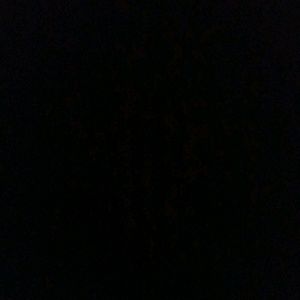 Meet your Posher, Taniesha